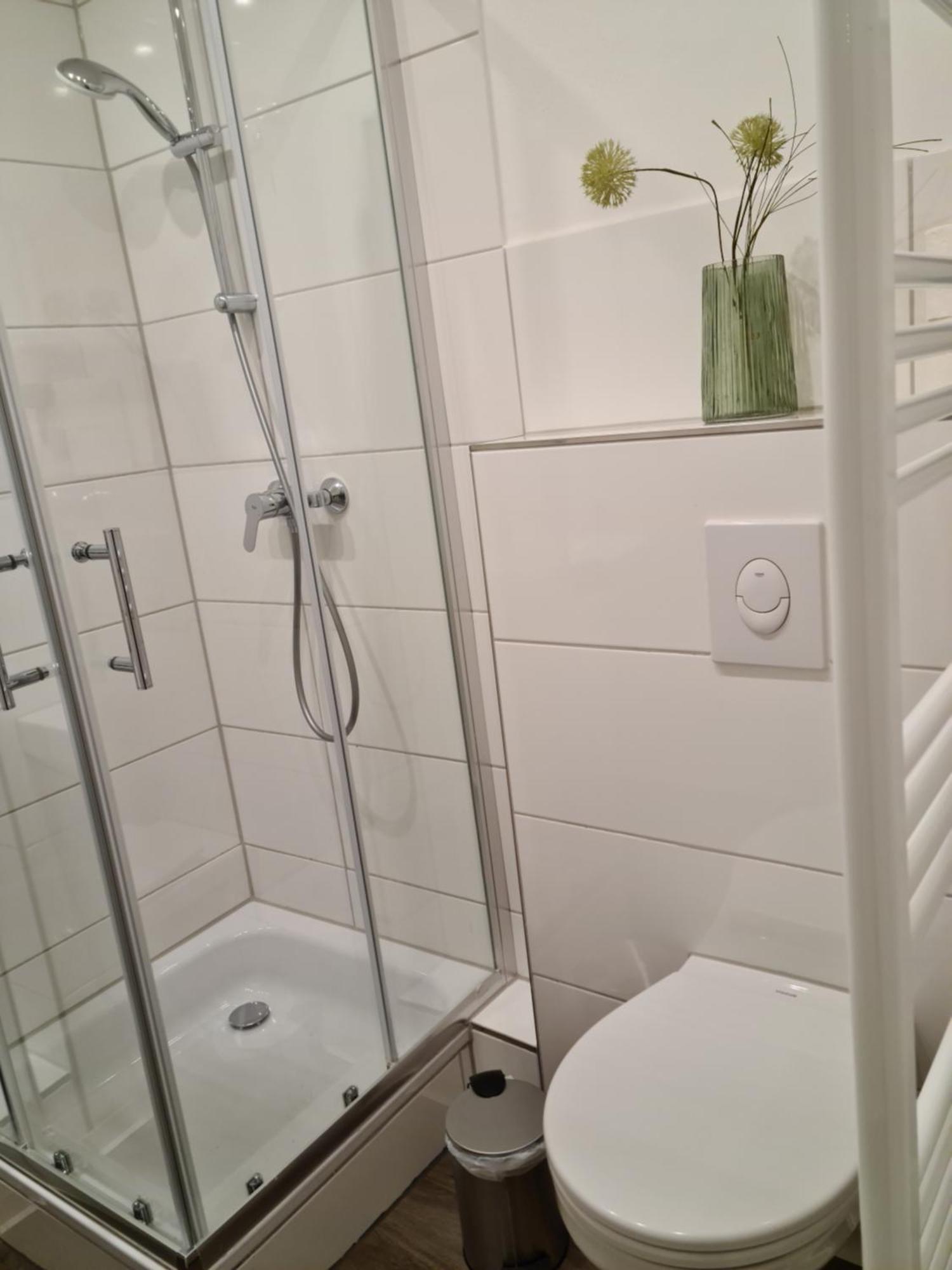 Pilgrims "Hagrid" 2 Sz, Balkon, Kueche, Bad, Top Wifi Brilon Exterior photo